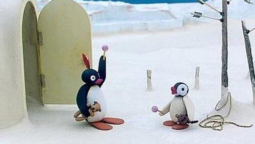 Pingu and the Doll Pingu and the Doll