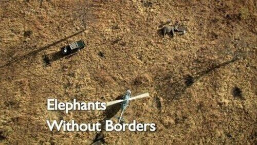 Elephants Without Borders Elephants Without Borders