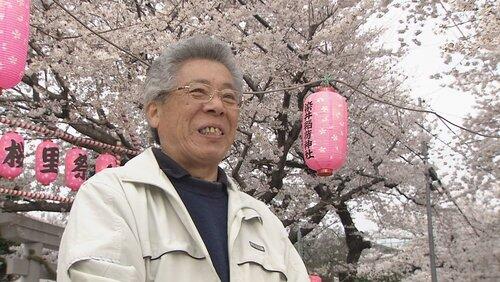 Tokyo in Springtime - The Taste of Tradition Tokyo in Springtime - The Taste of Tradition