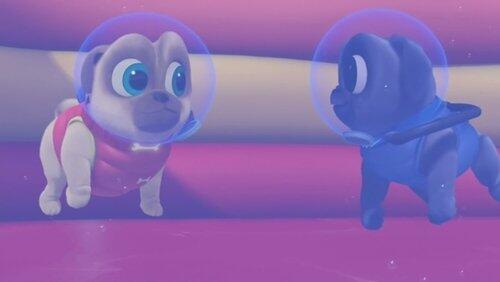 Ice, Ice Puggy Ice, Ice Puggy