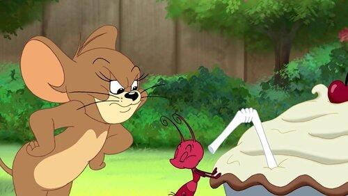 Little Big Mouse Little Big Mouse