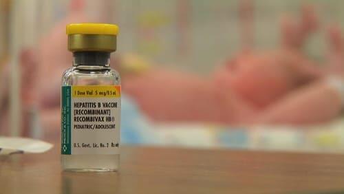 The Vaccine War The Vaccine War