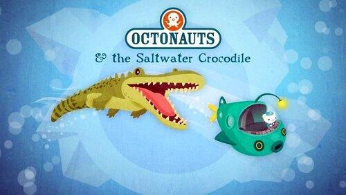 The Saltwater Crocodile The Saltwater Crocodile