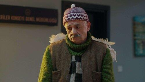 Episode 11 Episode 11