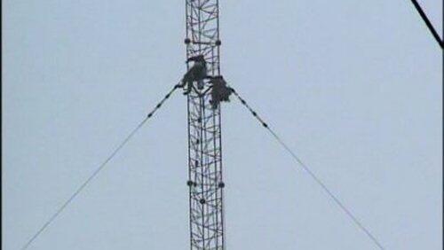 Engineering Disasters (5)