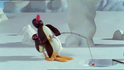 Like Father Like Pingu Like Father Like Pingu