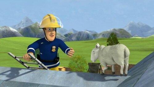 Runaway Horse Runaway Horse