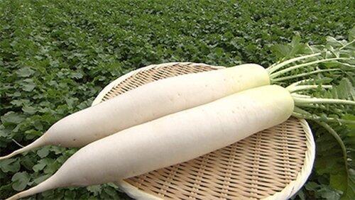 Daikon Daikon