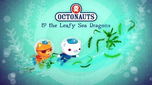 The Leafy Sea Dragons The Leafy Sea Dragons