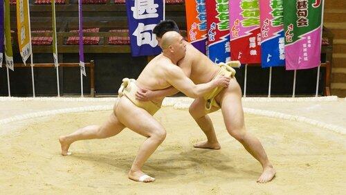 Sumo Sumo