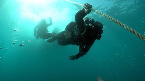 The Third Dive: The Death of Rob Stewart The Third Dive: The Death of Rob Stewart
