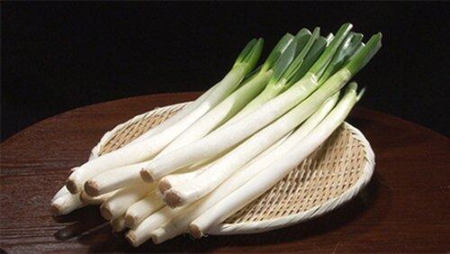Negi Negi