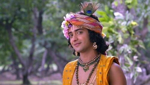 Krishna Has a Plan Krishna Has a Plan