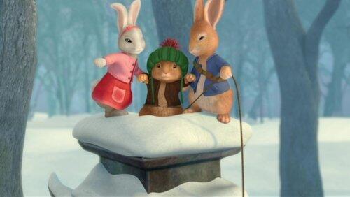 The Tale of the Stolen Firewood The Tale of the Stolen Firewood