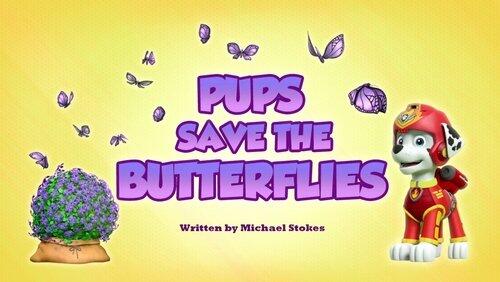 Sea Patrol: Pups Save Their Pirated Sea Patroller Sea Patrol: Pups Save Their Pirated Sea Patroller