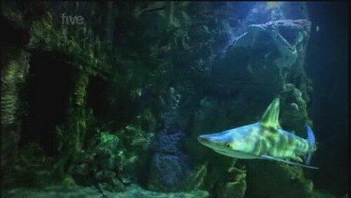 Episode 7 Episode 7