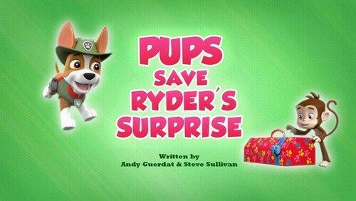 Pups Save A Rocket Roller Skater Pups Save A Rocket Roller Skater