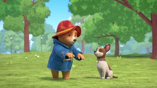 Paddington Meets Lucky Paddington Meets Lucky