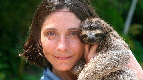 A Sloth Named Velcro A Sloth Named Velcro