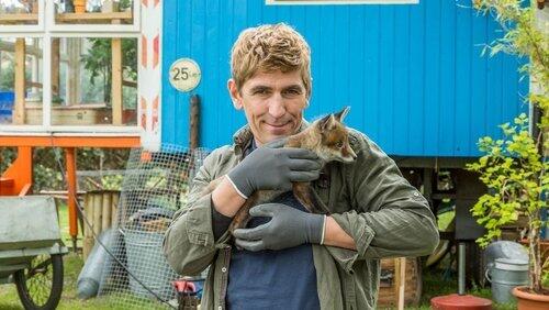 Tierbabys - Plötzlich Großfamilie Tierbabys - Plötzlich Großfamilie