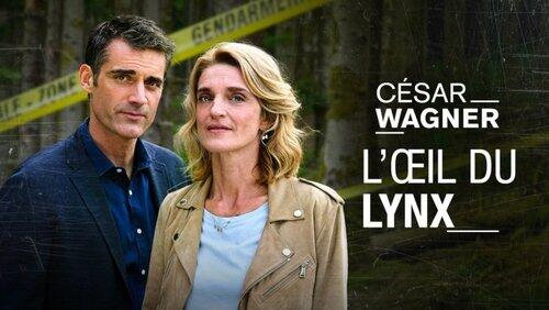 L'œil de lynx L'œil de lynx