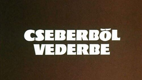 Cseberből vederbe Cseberből vederbe