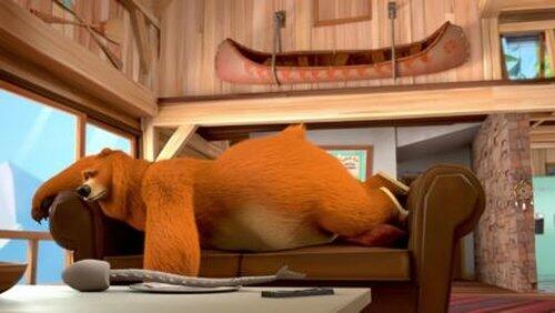 Shaken Up Bear Shaken Up Bear