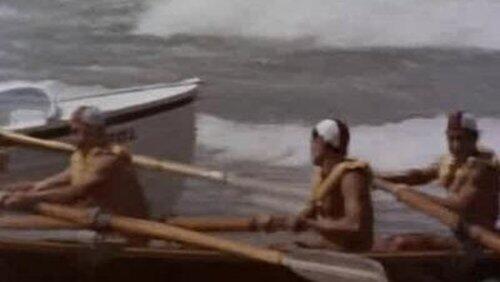 Surf King Surf King
