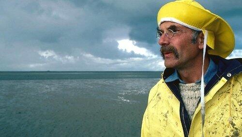 Peter sucht das Wattenmeer Peter sucht das Wattenmeer