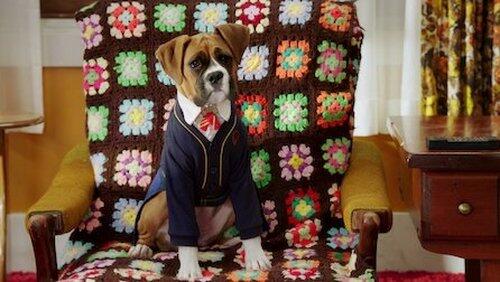 Tell Us About Your Human Day Tell Us About Your Human Day
