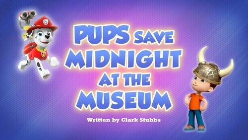 Pups Save Midnight At The Museum Pups Save Midnight At The Museum