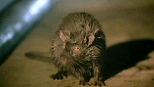 Super Rats Super Rats