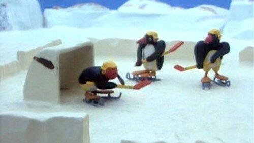 Pingu on Makeshift Skis Pingu on Makeshift Skis