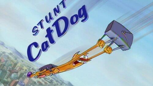 Stunt CatDog Stunt CatDog