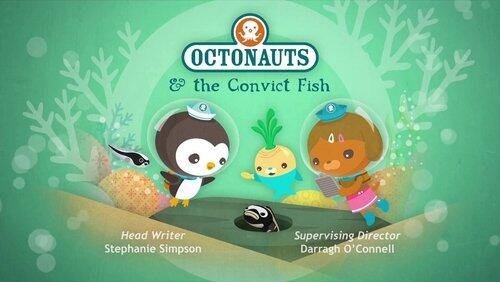 The Convict Fish The Convict Fish
