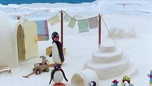 Pingu Gets Organized Pingu Gets Organized