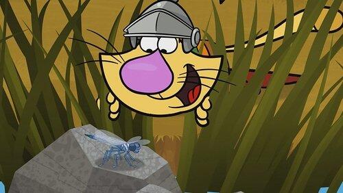 Enter the Dragonfly Enter the Dragonfly