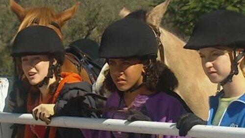 Show Ponies (2) Show Ponies (2)