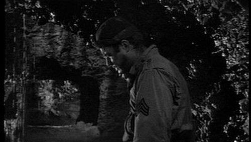 Night Patrol Night Patrol
