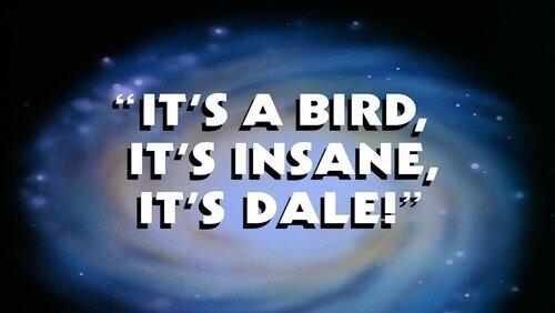 It's a Bird, It's Insane, It's Dale! It's a Bird, It's Insane, It's Dale!