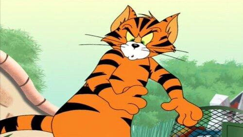 Tiger Cat Tiger Cat