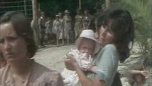 Internment Internment