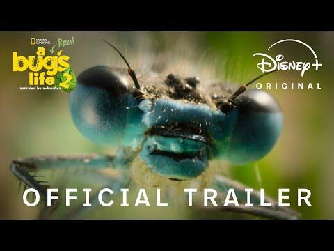 Season Two Official Trailer