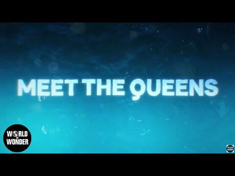 Meet the Queens of RuPaul's Drag Race Season 17 ????