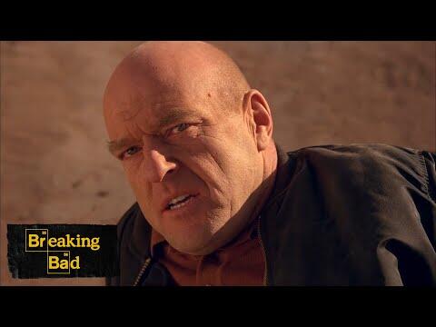 'Do What You Gotta Do' - Ozymandias