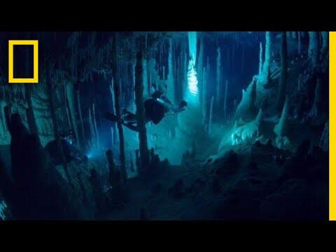 'There's an Alien World Beneath Our Feet'