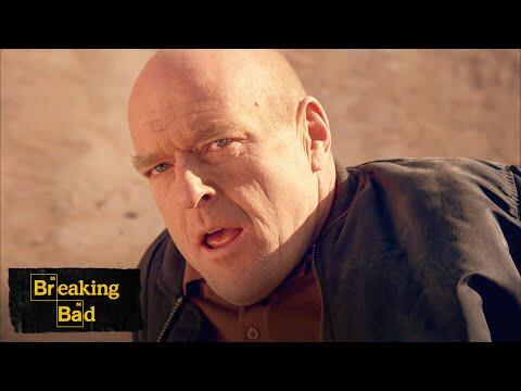 Hank's Death - Ozymandias