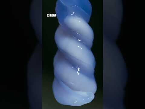 Shocking slug mating Clip #2
