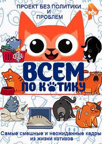 Всем по котику Всем по котику