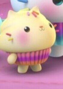 Paddycake Paddycake